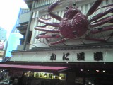 思ってた通り地味だった。